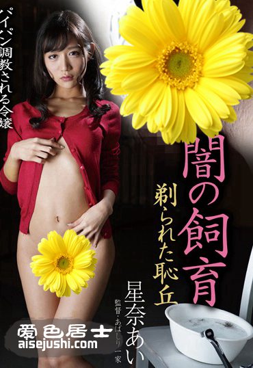 BDA-083 星奈爱