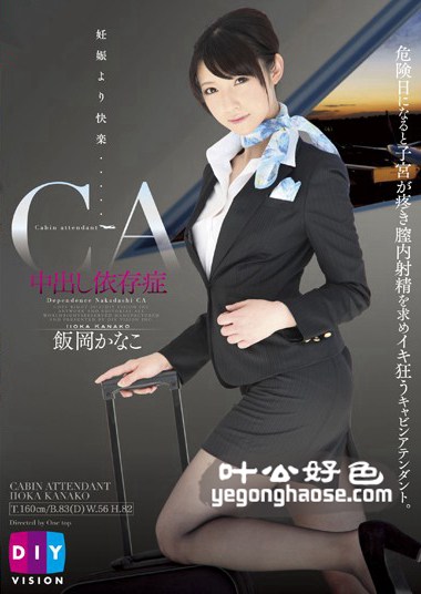 森沢香奈（饭冈佳奈子）作品DIY-038封面图片mp4迅雷磁力链接下载地址在线观看