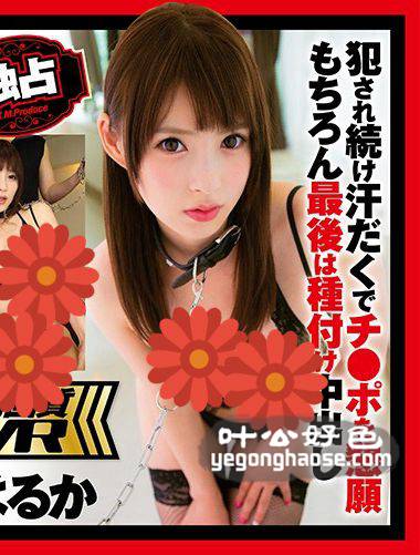 波木遥作品EXVR-065封面图片mp4迅雷磁力链接下载地址在线观看