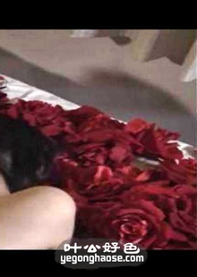友田彩也香作品GRCH-087封面图片mp4迅雷磁力链接下载地址在线观看
