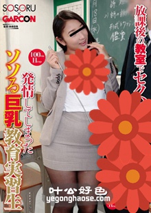 GS-025 杉山绘里奈