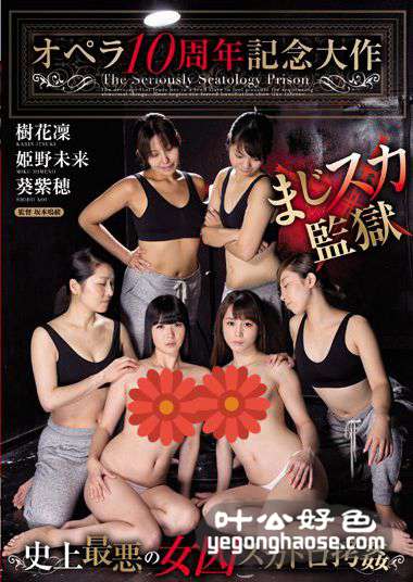 OPUD-209 树花凜（七咲枫花）,姫乃未来（芹沢真由罗）,葵紫穂