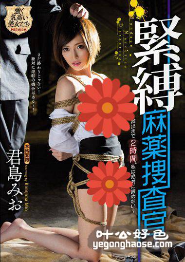 君岛美绪作品PRTD-007封面图片mp4迅雷磁力链接下载地址在线观看