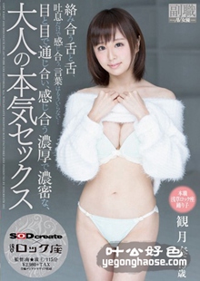 SDSI-028 观月奏