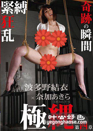TAD-009 波多野结衣