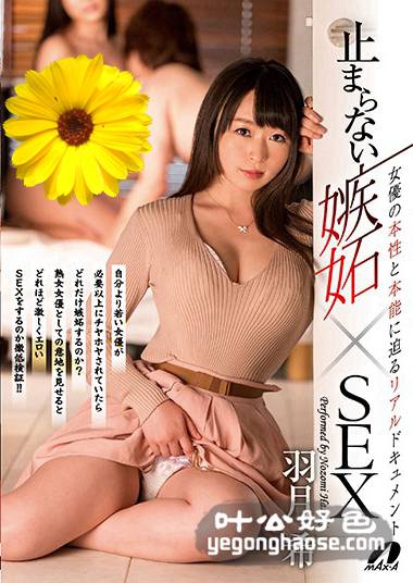 XVSR-311 羽月希