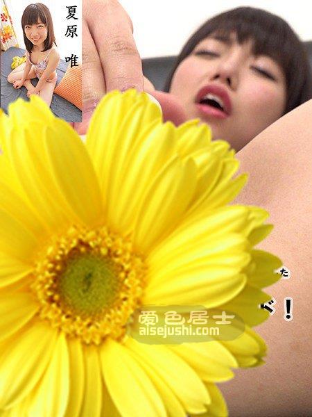 夏原唯作品DIL-005封面图片mp4迅雷磁力链接下载地址在线观看
