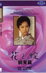 小川美那子,矢生有里,舵川まり子作品NKT-038封面图片mp4迅雷磁力链接下载地址在线观看