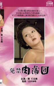 東てる美,ひろみ麻耶,岡本麗,二條朱美,桂たまき,芹明香,五十嵐ひろみ作品NKT-183封面图片mp4迅雷磁力链接下载地址在线观看
