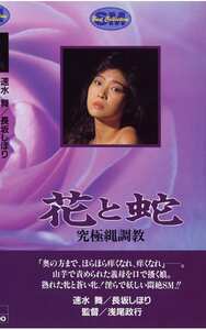 長坂しほり,速水舞,水木薫作品NKT-025封面图片mp4迅雷磁力链接下载地址在线观看