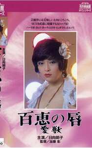 NKT-236 日向明子,村川めぐみ,泉じゅん,早川由美