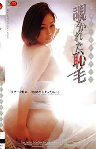 作品CM-036封面图片mp4迅雷磁力链接下载地址在线观看