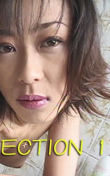 TT-683 
