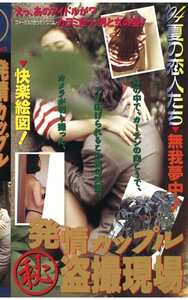 林由美香,井上あんり,橋本杏子,扇マヤ,梶原恭子作品SCB-035封面图片mp4迅雷磁力链接下载地址在线观看