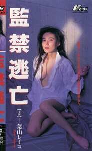 KF-5300 葉山レイコ,松居千佳