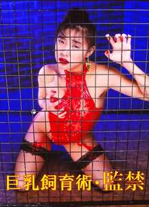 姫ノ木杏奈,小川真実,青木こずえ作品OKURAM-462封面图片mp4迅雷磁力链接下载地址在线观看
