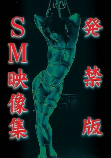 作品THZL-001封面图片mp4迅雷磁力链接下载地址在线观看