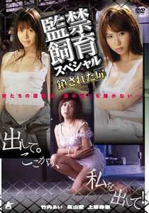 麻木涼子,乙音奈々,浅田なつき,正田美里,今野梨乃,黒沢英里奈（喜田嶋りお）,星野あかり,上原寿恵,佐山愛作品DJM-039封面图片mp4迅雷磁力链接下载地址在线观看