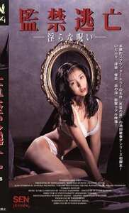 愛禾みさ,K（ケイ）,岸加奈子,真弓倫子作品KF-5545封面图片mp4迅雷磁力链接下载地址在线观看