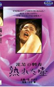 谷ナオミ,北川たか子,結城マミ作品NKT-066封面图片mp4迅雷磁力链接下载地址在线观看