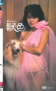 風かおる,亜季いずみ作品INTFS-004封面图片mp4迅雷磁力链接下载地址在线观看