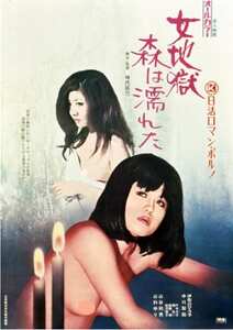 伊佐山ひろ子,中川梨絵,山科ゆり,叶今日子,絵沢萠子作品NKT-056封面图片mp4迅雷磁力链接下载地址在线观看