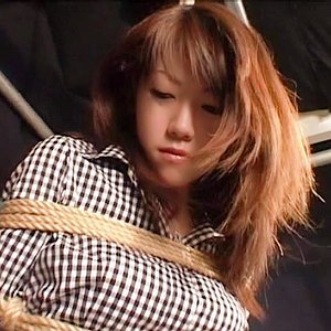 作品PWIFE-942封面图片mp4迅雷磁力链接下载地址在线观看