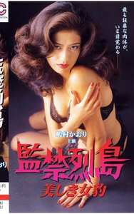 嶋村かおり,五十嵐佳子,根岸里朱作品VS-004封面图片mp4迅雷磁力链接下载地址在线观看