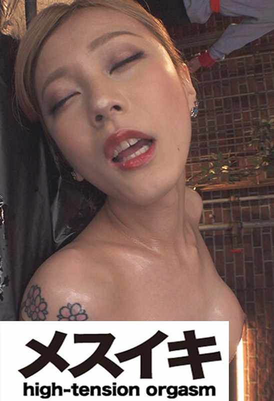 作品ZZZM-1511封面图片mp4迅雷磁力链接下载地址在线观看