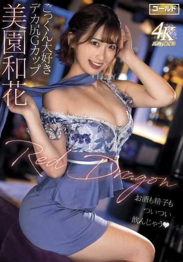 GDRD-035 美园和花