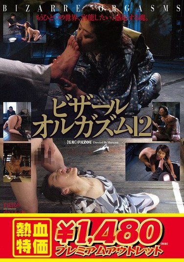 ADVF-208 海老原しのぶ,白鳥るり,山口みのり,麻倉みお,堤詩織,深津千恵子,麻美ゆうか