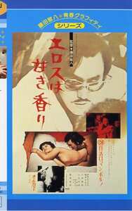 伊佐山ひろ子,桃井かおり,川村真樹,橘田良江作品NKT-053封面图片mp4迅雷磁力链接下载地址在线观看