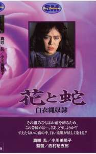 真咲乱,小川美那子,江崎和代作品NKT-023封面图片mp4迅雷磁力链接下载地址在线观看