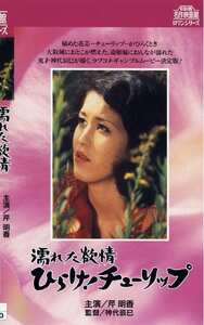 芹明香,谷ナオミ,二條朱美,松井康子,石井まさみ作品NKT-287封面图片mp4迅雷磁力链接下载地址在线观看
