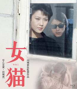 早乙女愛,伊藤幸子,大塚良重作品NKT-593封面图片mp4迅雷磁力链接下载地址在线观看