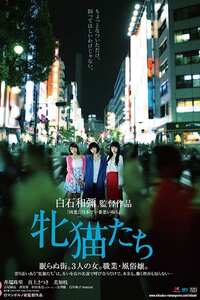 井端珠里,真上さつき,美知枝,白川和子,山咲美花作品ROMANP-009封面图片mp4迅雷磁力链接下载地址在线观看